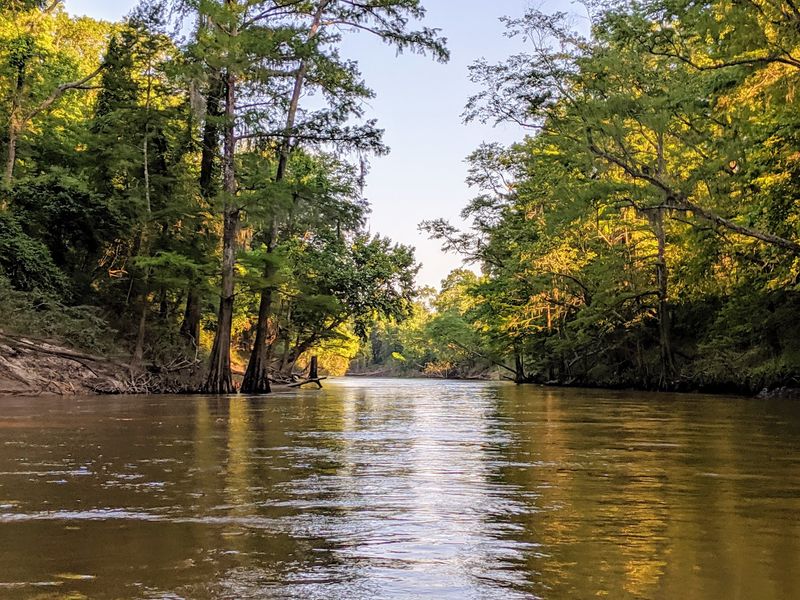 Chickasawhay River