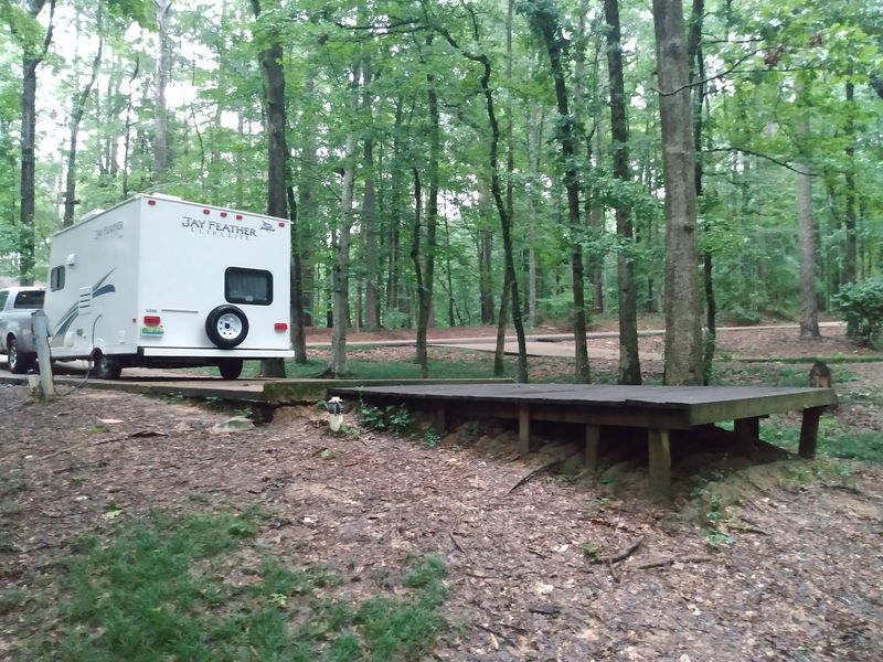 Bienville National Forest