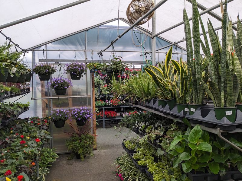 This Plant Nursery Will Tempt You To Start Gardening