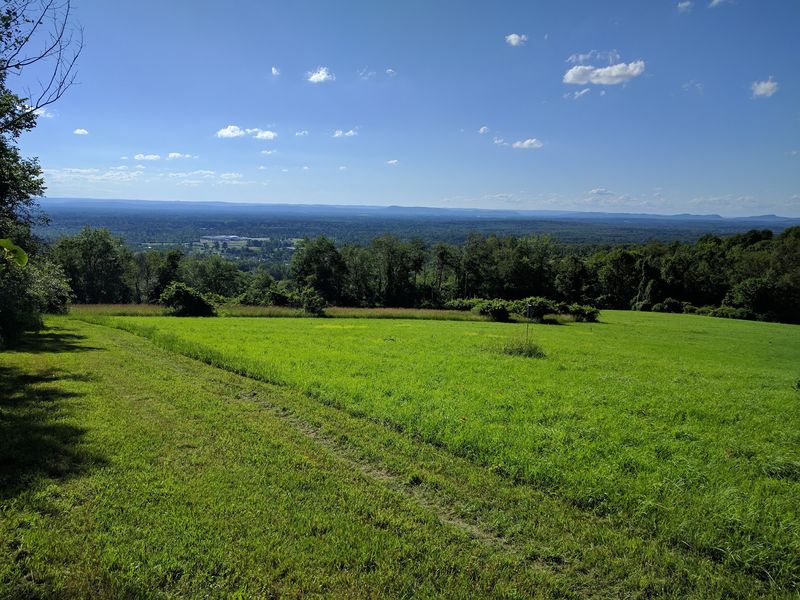 Rice Preserve And Sunrise Peak Trailwalk, Wilbraham