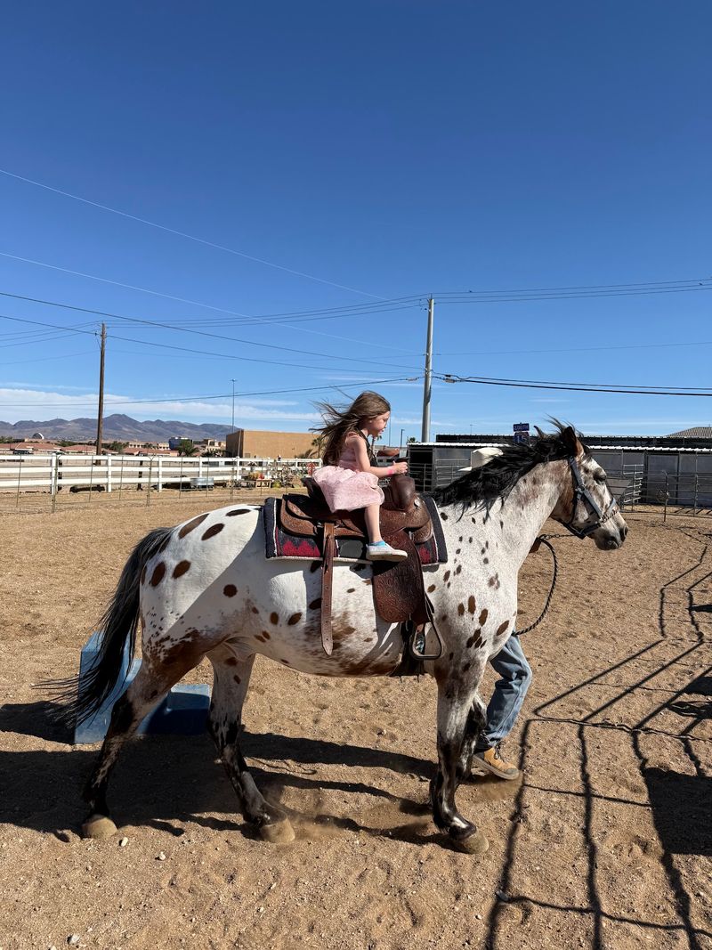 Pony Rides And Horseback Fun For Little Riders