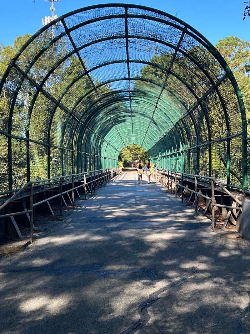 Lakes, State Park Camping, And Making A Weekend Of It