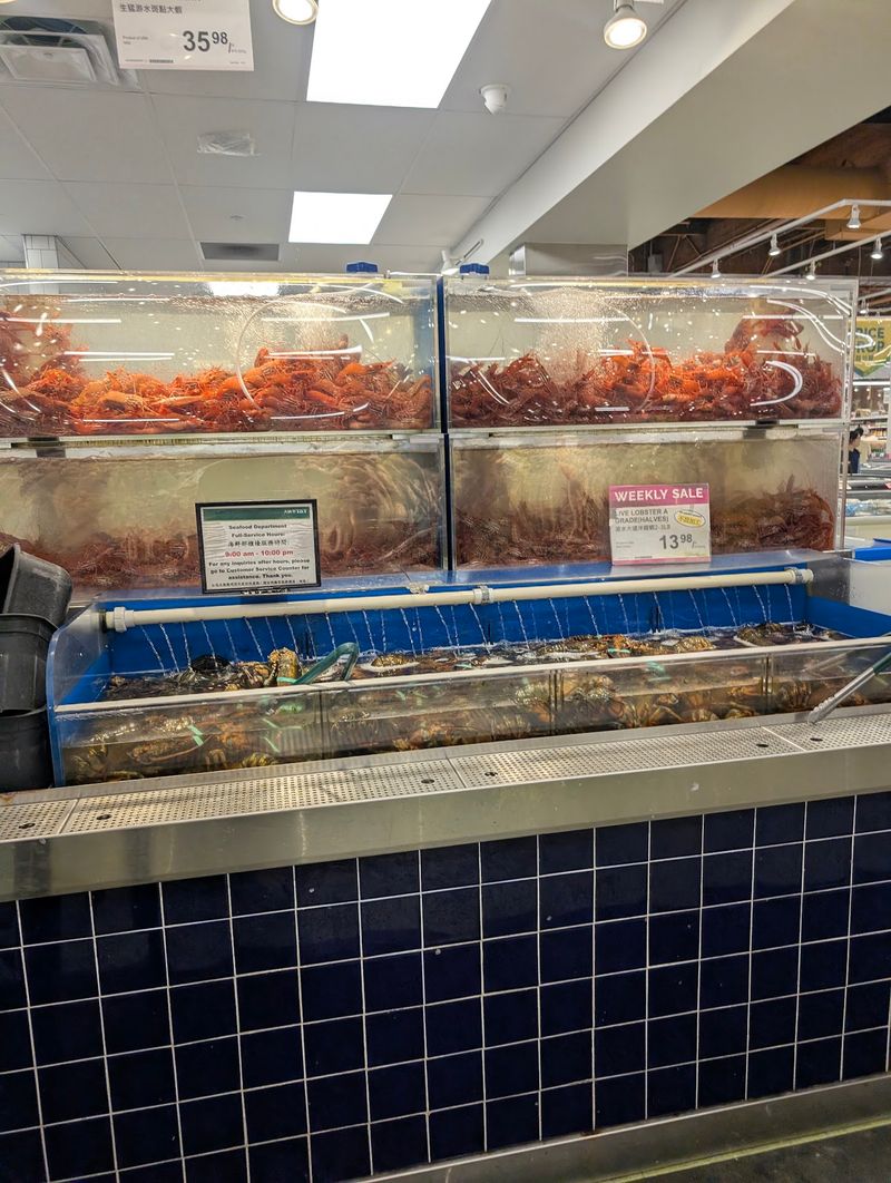 Fresh Seafood, Absolutely Live