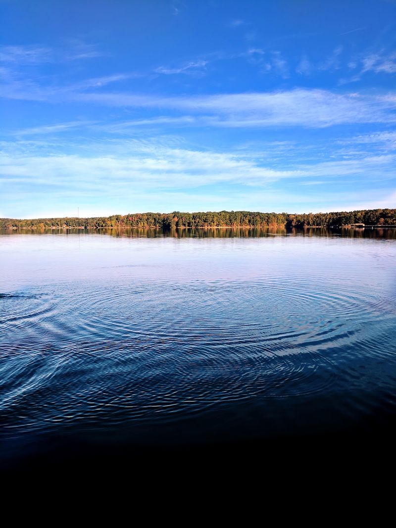 Days Out On The Lake