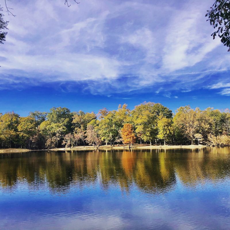 Popular Outdoor Activities During Warm Seasons