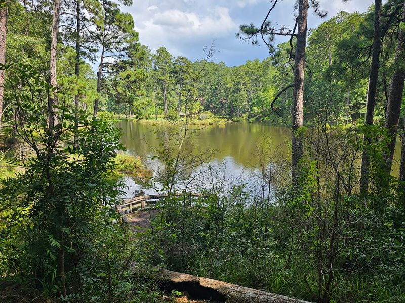 Conservation Efforts To Preserve Remote Lake Areas