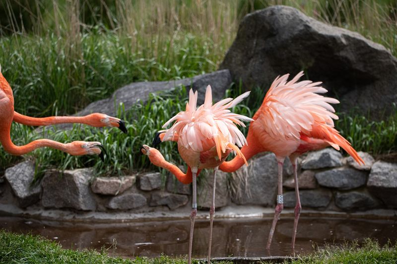Why This Wisconsin Park Is Worth The Trip