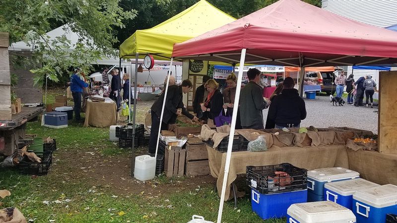 Millerton Farmers Market
