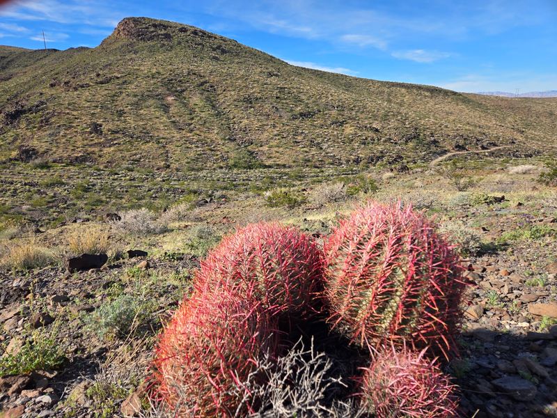 Sloan Canyon National Conservation Area