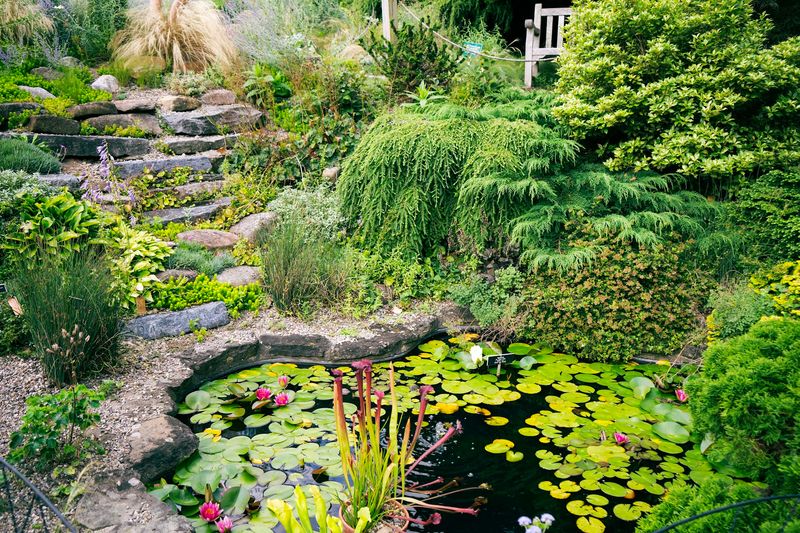 Morris County: Gardens, Green Trails And A Lot Of Deer Ticks