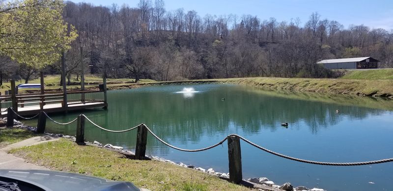 Ponds, Geese, And A Waiting Spot For Kids