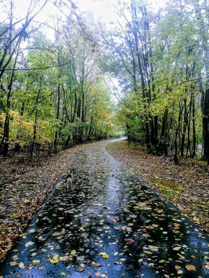 Orangetown, Rockland County