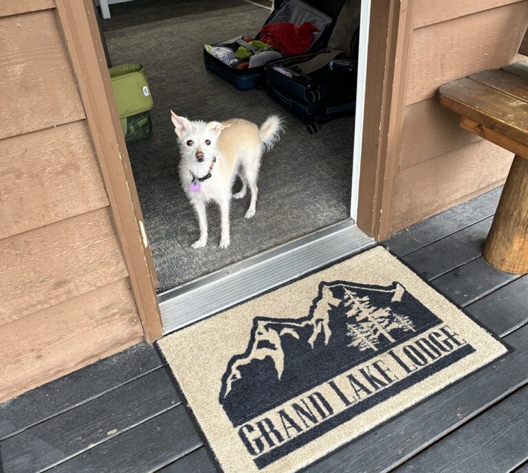 Our rescue pooch Loni loved the cozy Sears Roebuck cabin (Andy Yemma photo)