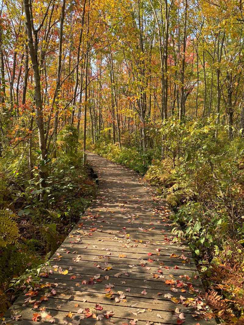 Beaver Lake Nature Center - Baldwinsville