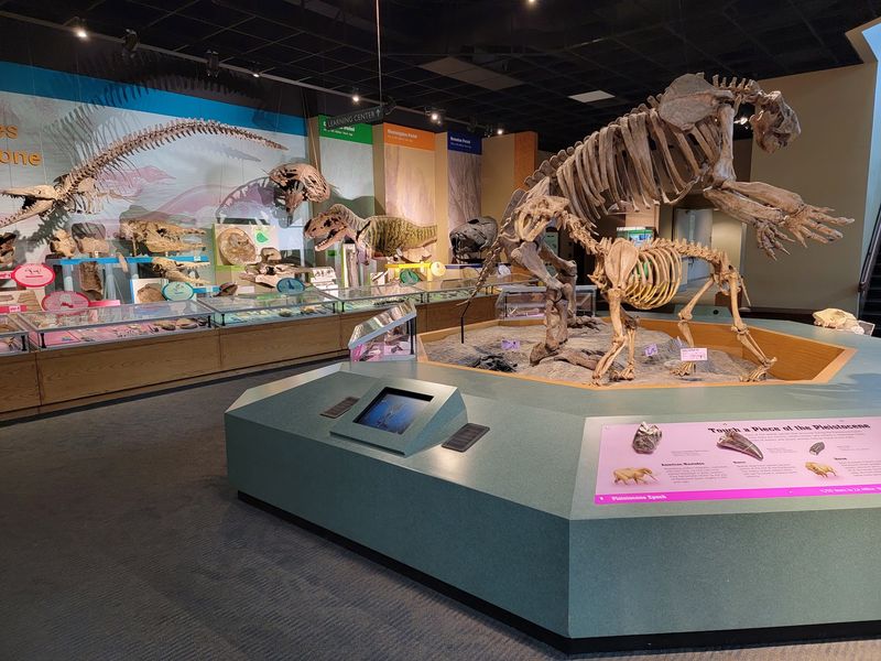 Historic Artifacts And Their Stories