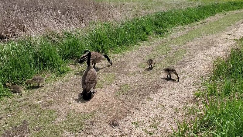 Family-Friendly Programs That Spark Curiosity
