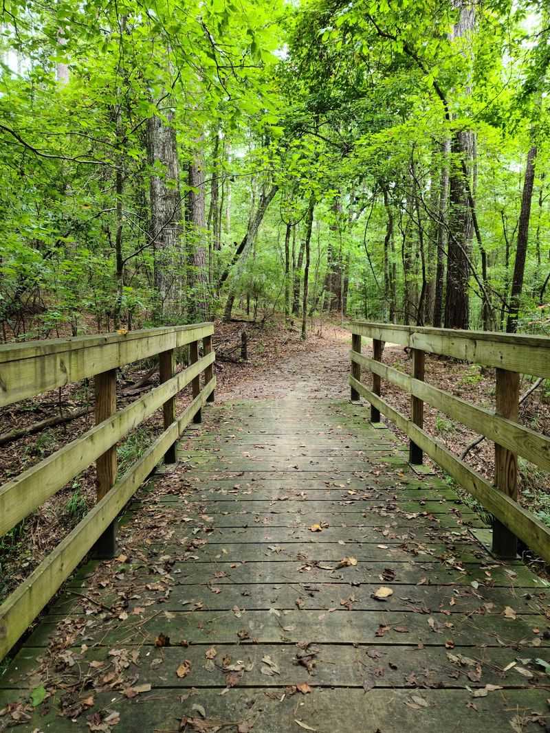 Bonita Lakes Park Trail - Meridian, MS