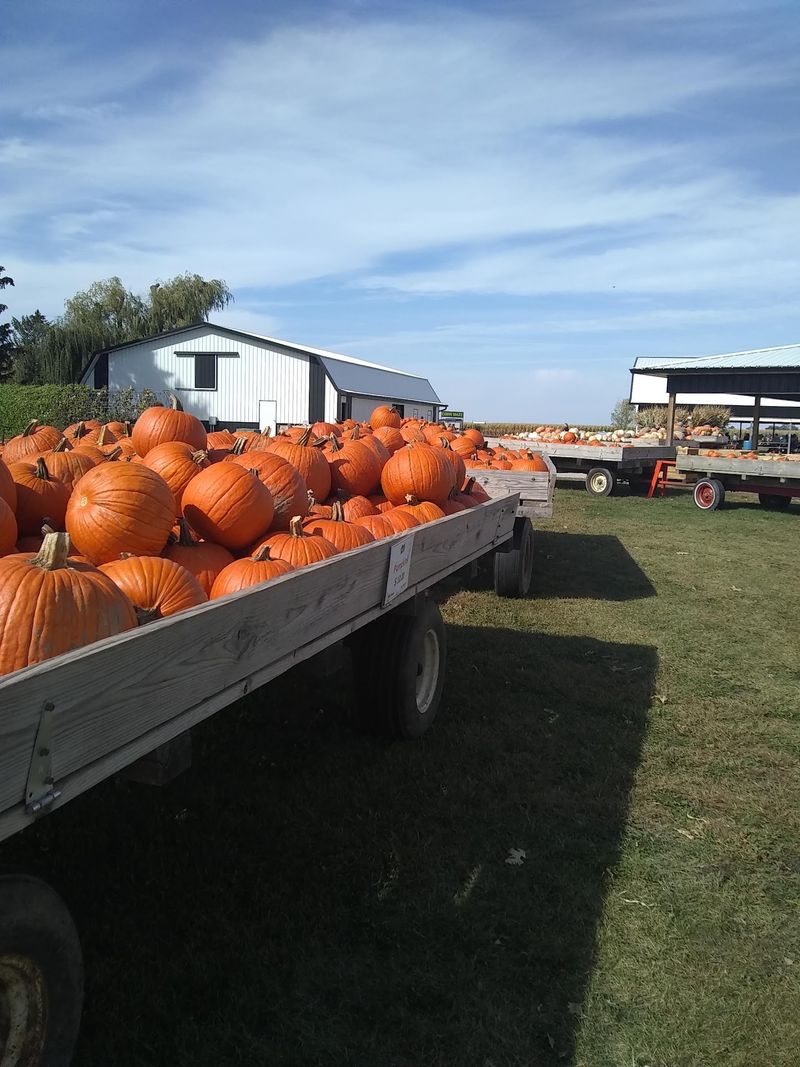 Seasonal Produce That Changes With The Harvest