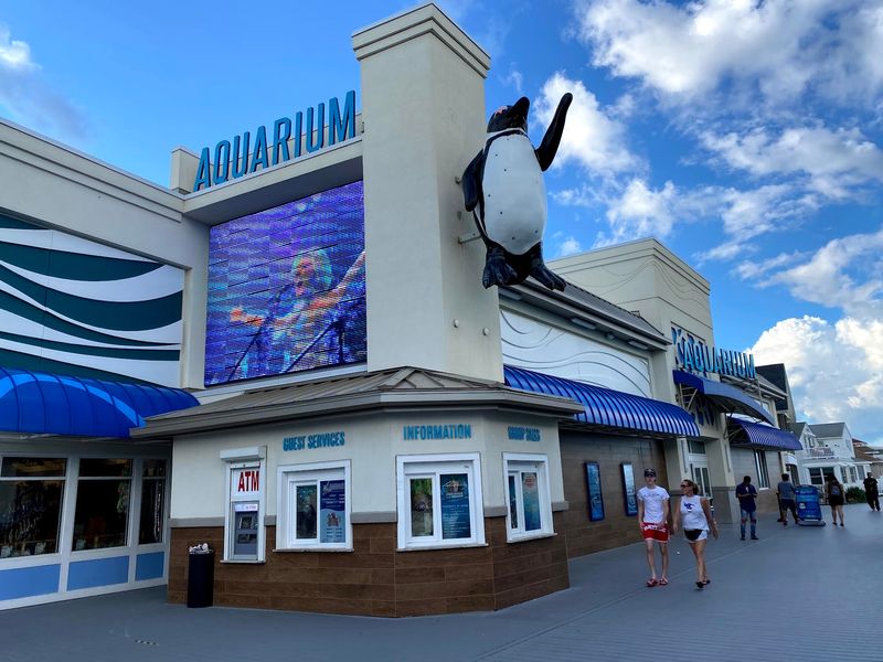 The Aquarium That Punches Above Its Weight
