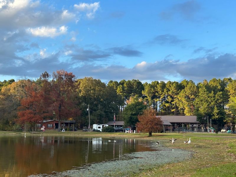 Askew's Landing RV Campground