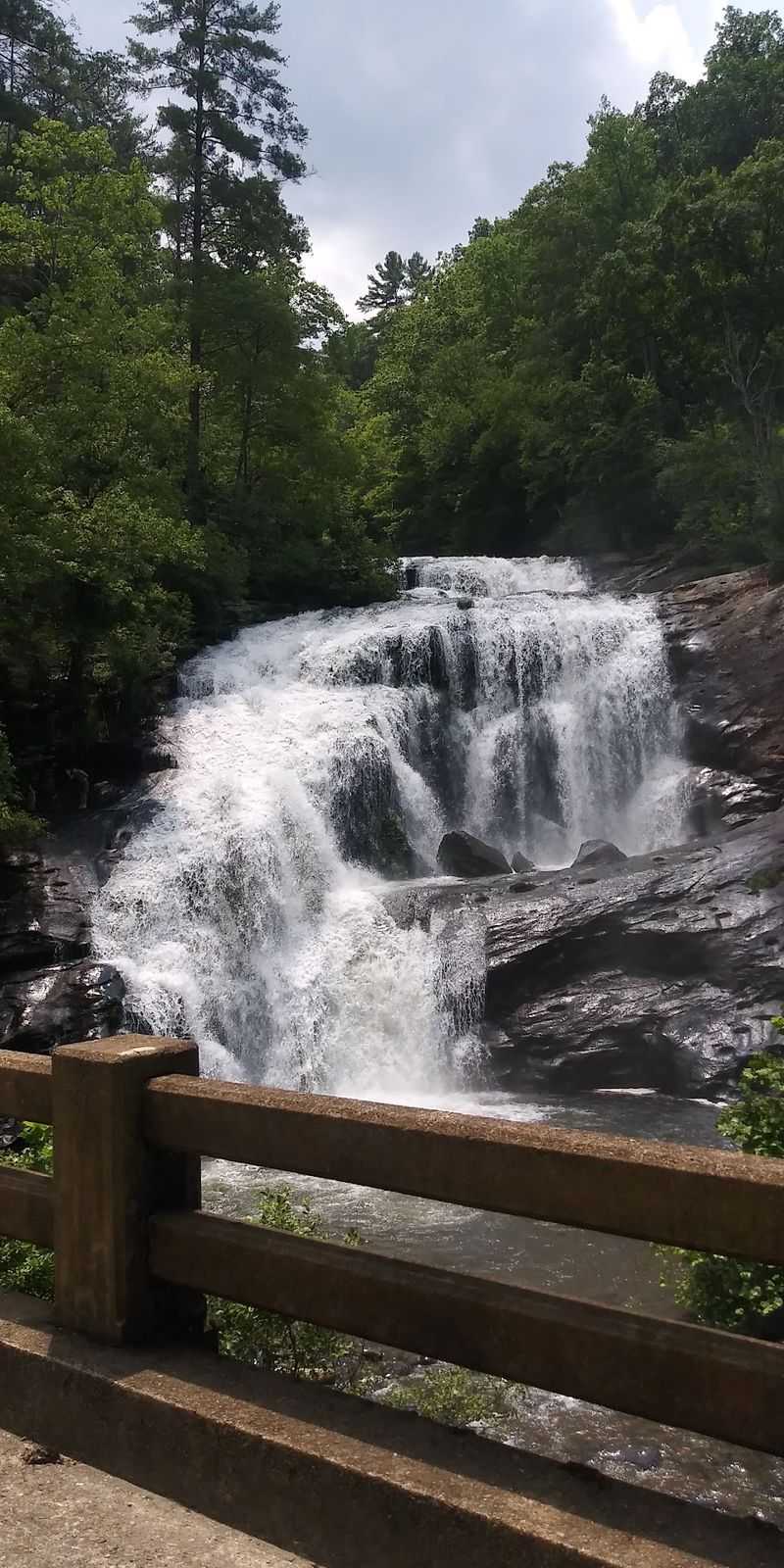 Tellico Plains