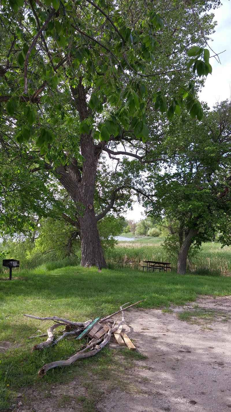 Photography Tips For Capturing Nature In Nebraska
