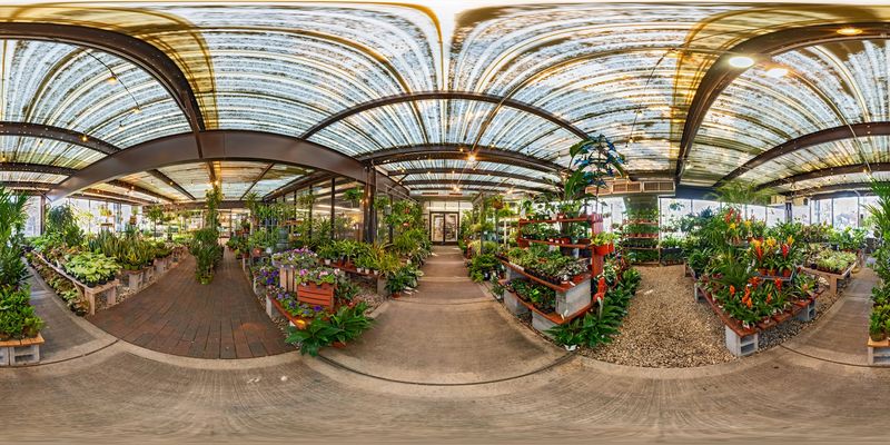 The Plant Doctor Service Saves You From Starting Over