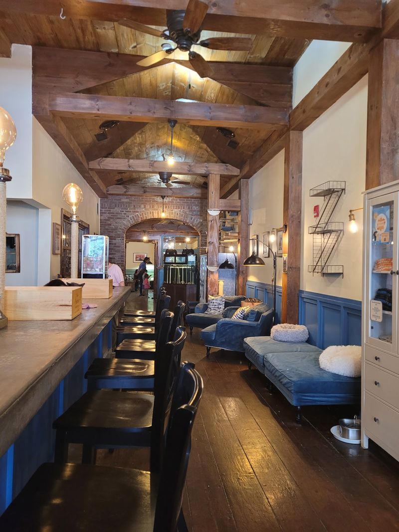 The Brooklyn Cat Cafe — 76 Montague St, Brooklyn, NY 11201