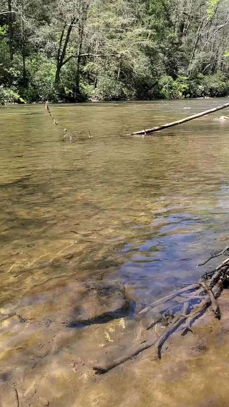 Easy Miles Along The Catawba Greenway