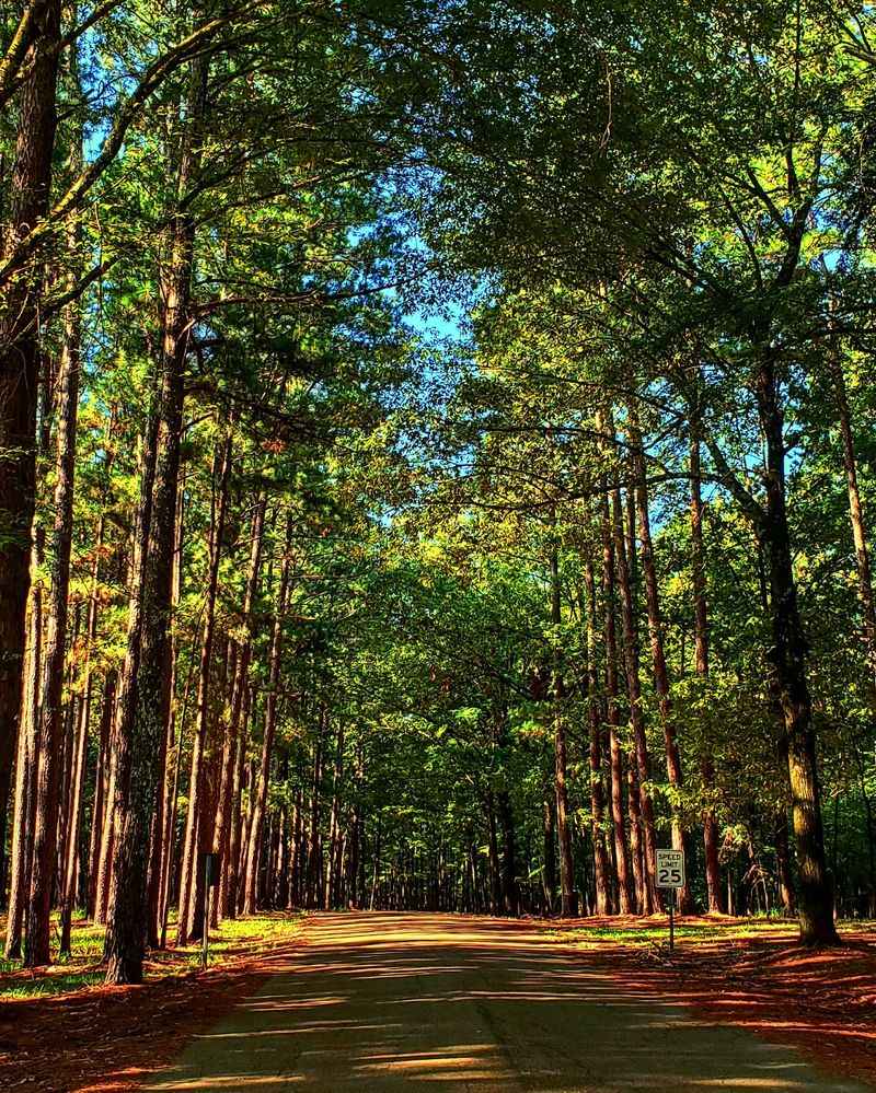 George P. Cossar State Park