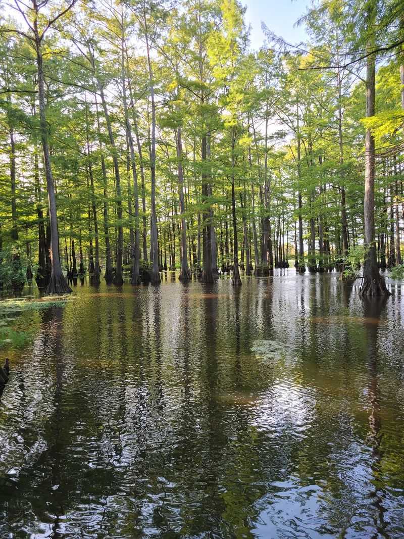 Millwood State Park
