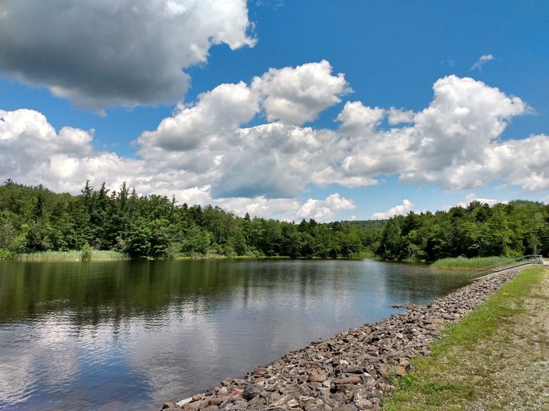 Ashmere Lake