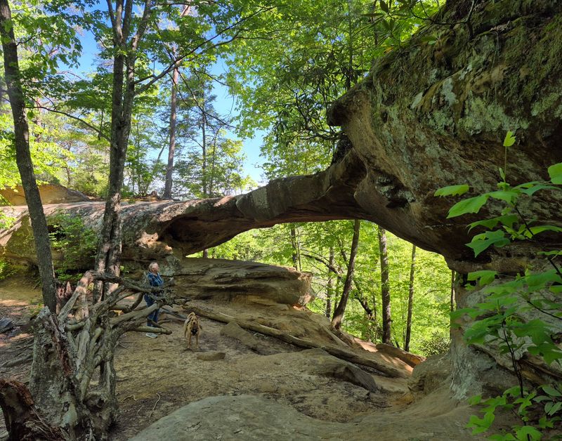 Red River Gorge Geological Area