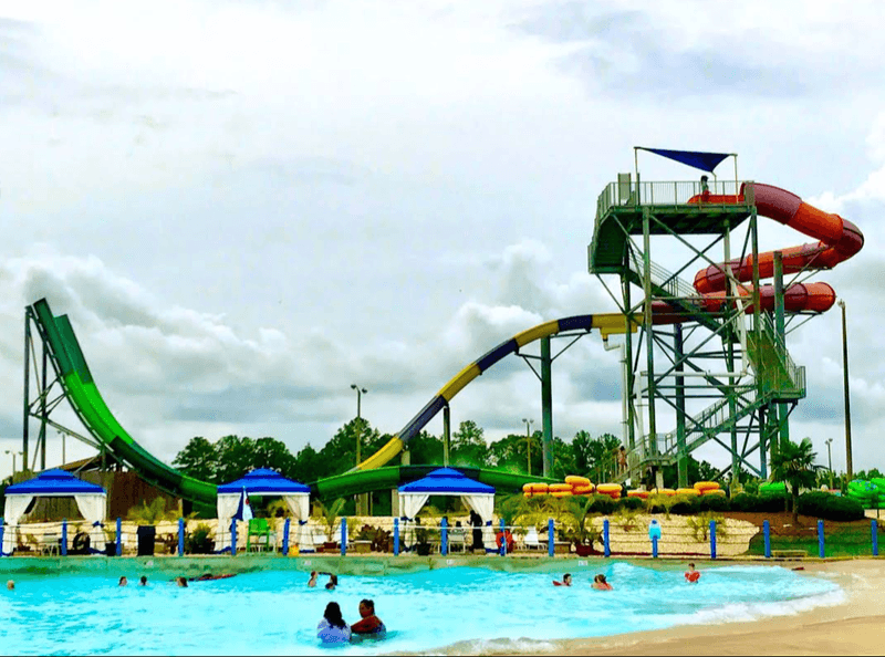 Dive Shows And Seasonal Nights