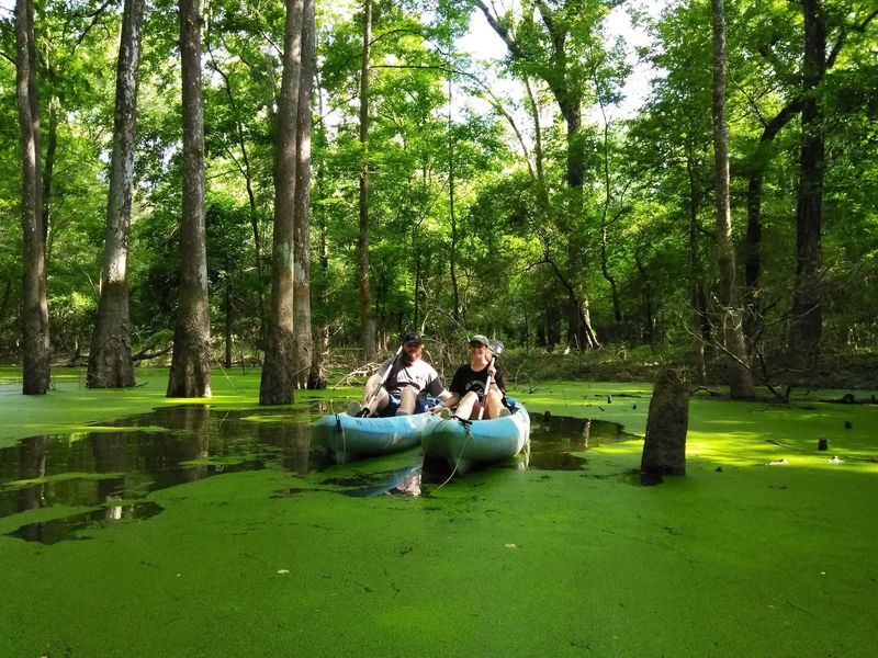 Pearl River