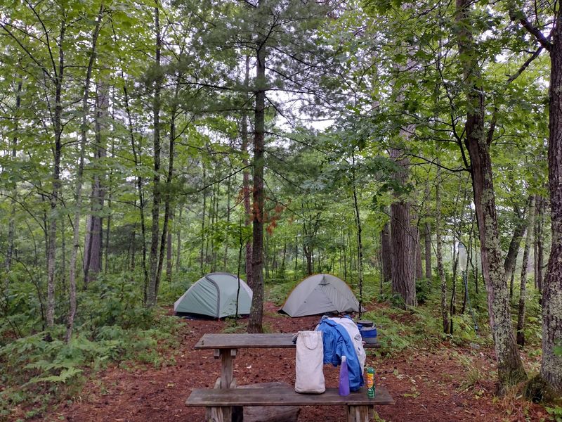 Camping Under The Pines At Bois Brule And Copper Range
