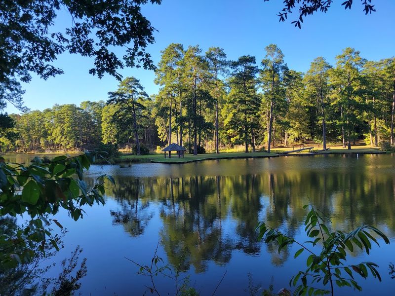 Clear Springs Campground
