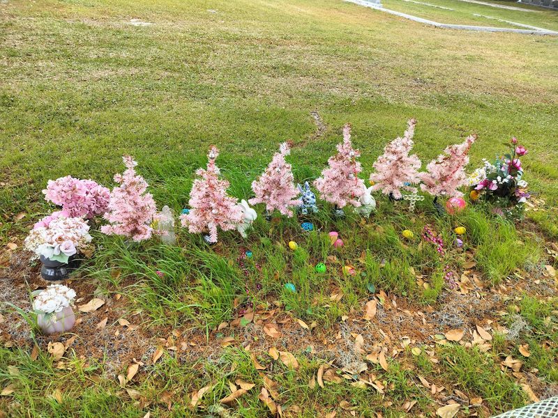 Live Oak Cemetery