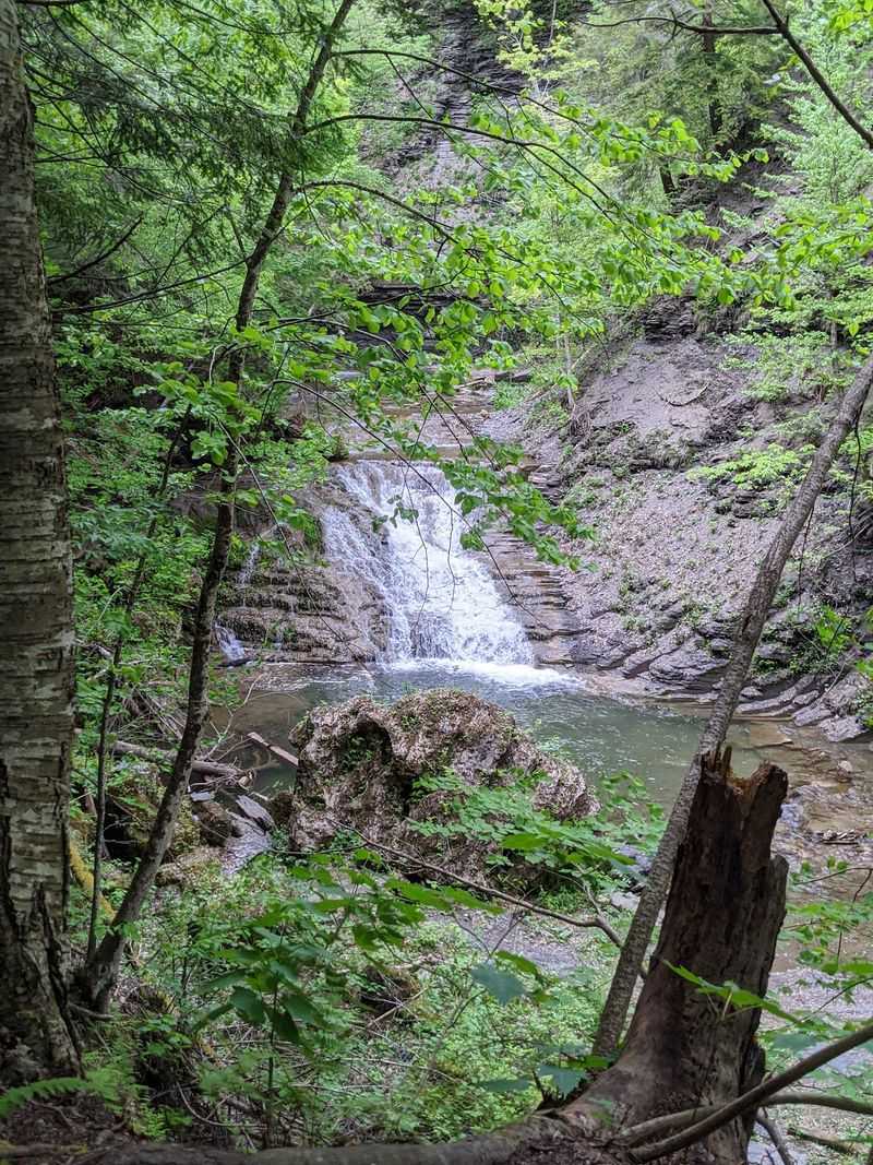 The Owen D. Young Nature Trail Breakdown