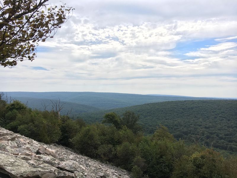 Rothrock State Forest