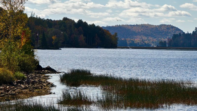 Coney Mountain And The Buck Mountain Fire Tower