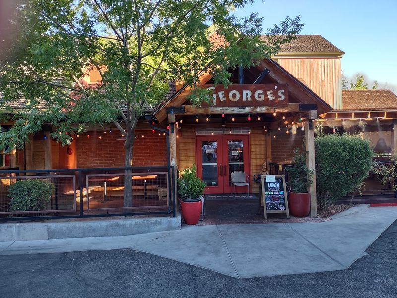 A Patio Where Dogs Are Genuinely Welcome