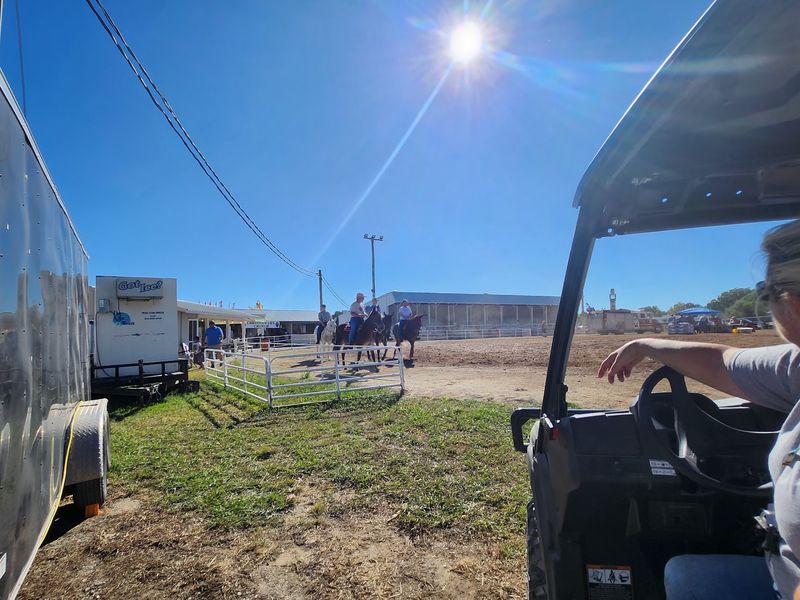 Rodeo Nights With Calf Roping And Bull Riding