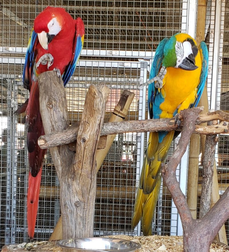 Animal Encounters That Delight Every Age Group