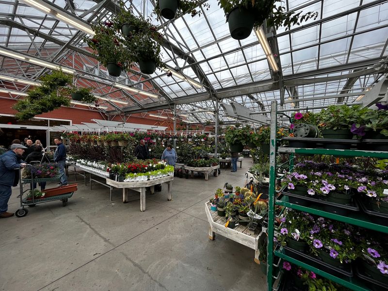 Perennial Beds And The Nursery Yard