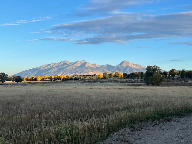 How Remote Lodges Support Conservation Efforts In Colorado