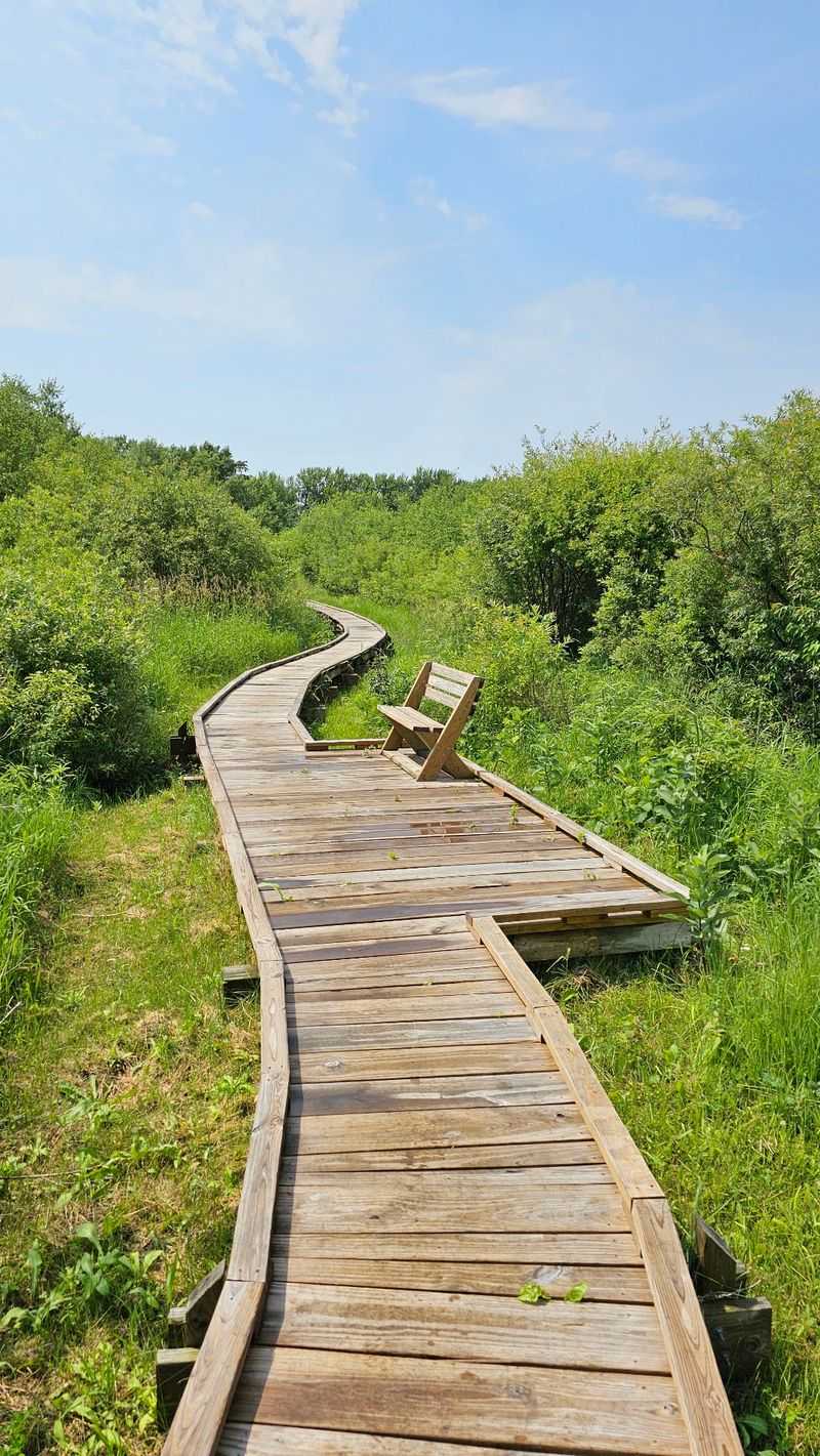 Outdoor Adventures Nearby For The Restless Reader