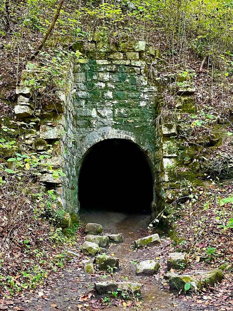 Laurel Snow Mining Ruins, Dayton