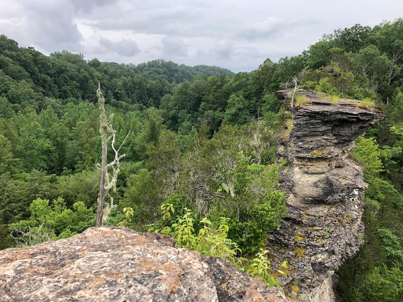 Window Cliffs State Natural Area, Baxter