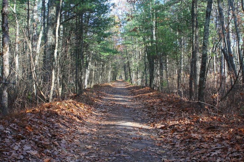 Assabet River Rail Trail, Acton, Maynard, Stow, Hudson, And Marlborough